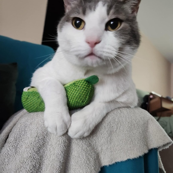 Meet your Posher, Amanda - Picture 7 of 11